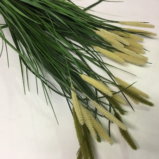 GRASS, Bullrush Green Cream